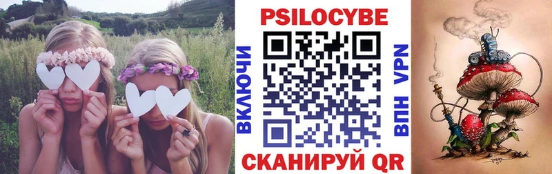 где купить наркоту  Конаково  Галлюциногенные грибы мухоморы 